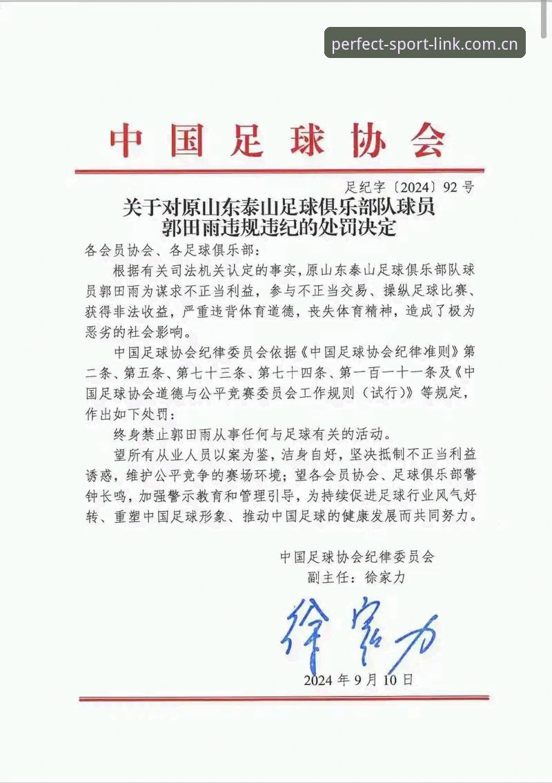 足协第三批禁足名单深度解析：17人终身禁赛背后的行业生态观察