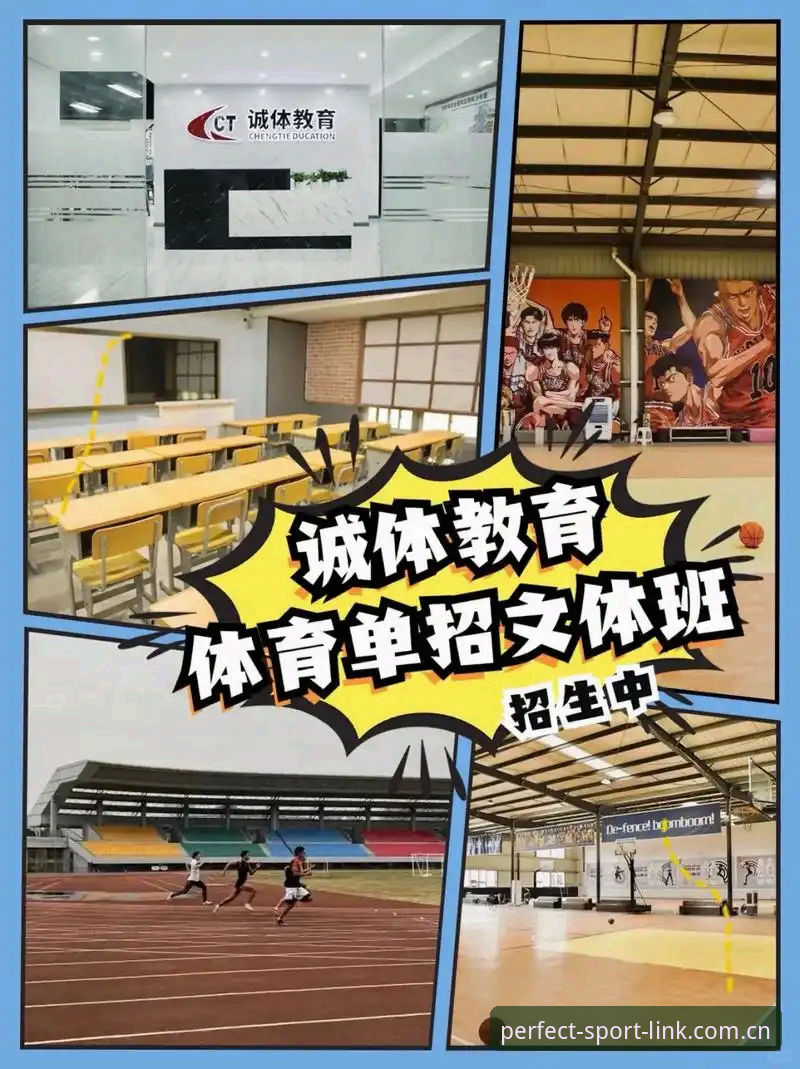 完美体育2025版技术详解：从登录入口到最新版本的全方位评测